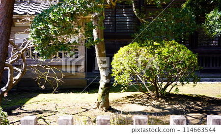 Japanese Garden Kawagoe Castle Japanese Garden Kawagoe Castle 114663544