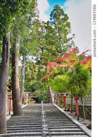 京都吉田神社(京都市左京區) 京都吉田神社(京都市左京區) 114663566