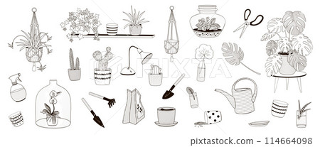 set elements about indoor greenery and home plants with plant pot, plants, watering can, grow lamp black and white outline vector illustration 114664098