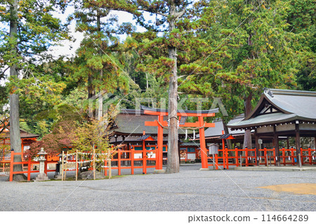 京都吉田神社本宮(京都市左京區) 京都吉田神社本宮(京都市左京區) 114664289