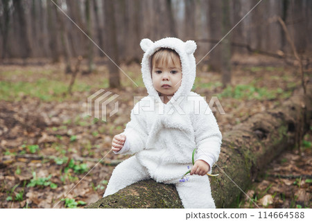Adorable baby in a bear costume in the forest by a fallen tree 114664588