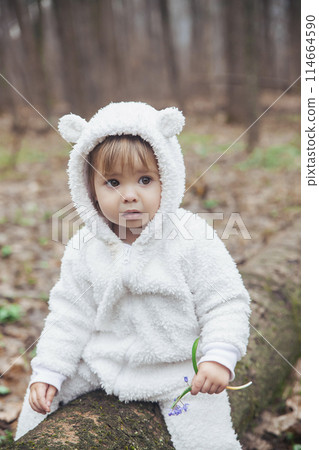 Adorable baby in a bear costume in the forest by a fallen tree 114664590