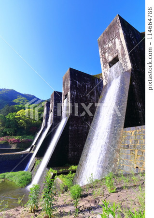 [Kagawa Prefecture] Azaleas blooming in spring at the Honenike Dam (Hoenike Weir), the first stone masonry multiple arch dam in the country 114664788