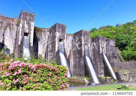 [香川縣] 全國第一座石砌連拱壩－Totoshi Pond Dam（Totoshi Pond Dam）春天杜鵑花盛開 114664793