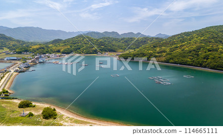 東香川市引田可以釣魚的巨大養殖池 東香川市引田可以釣魚的巨大養殖池 114665111