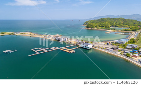 A huge fish farm pond where you can fish in Hikida, Higashikagawa City 114665120