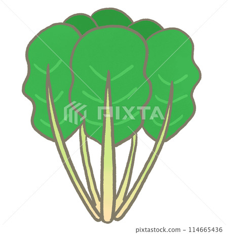 R: More fairy-tale vegetables: Spinach③ R: More fairy-tale vegetables: Spinach③ 114665436