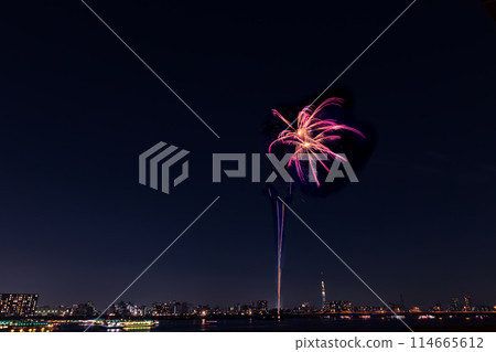 東京江東花火大會 114665612