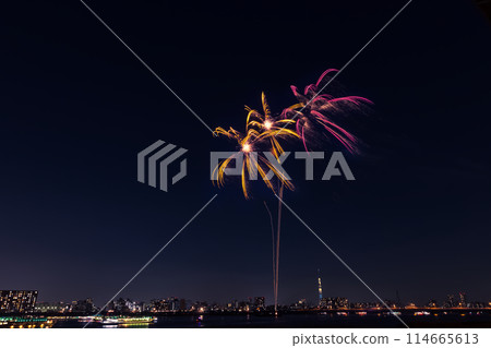 Koto Fireworks Festival, Tokyo 114665613