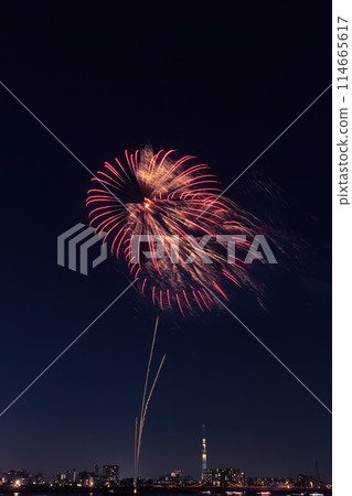 Koto Fireworks Festival, Tokyo 114665617