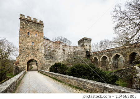 Bitov Castle in Znojmo region in South Moravia, Czech Republic. 114665805