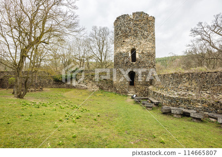 Bitov Castle in Znojmo region in South Moravia, Czech Republic. 114665807