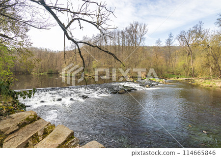 Dyje River in Podyji National Park near Znojmo town. Dyje River in Podyji National Park near Znojmo town. 114665846