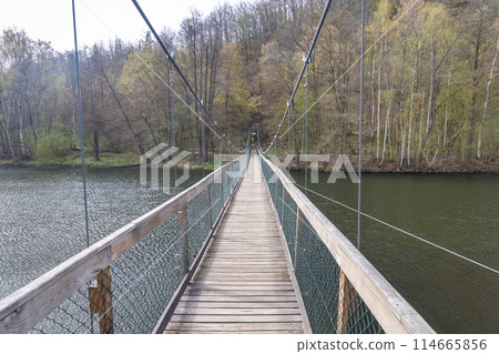 The Lipinska footbridge above Dyje River in Podyji National Park 114665856