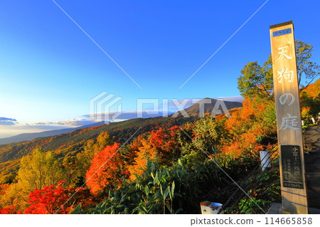 紅葉絢麗的萬代東天際線/福島縣福島市 紅葉絢麗的萬代東天際線/福島縣福島市 114665858