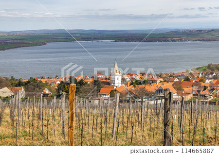 The Pavlov village with vineyards above the Nove Mlyny reservoir The Pavlov village with vineyards above the Nove Mlyny reservoir 114665887