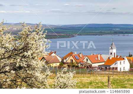 The Pavlov village with vineyards above the Nove Mlyny reservoir The Pavlov village with vineyards above the Nove Mlyny reservoir 114665890