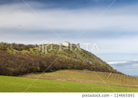 The ruins of Devicky castle on the Pavlov Hills above the vineyard 114665891