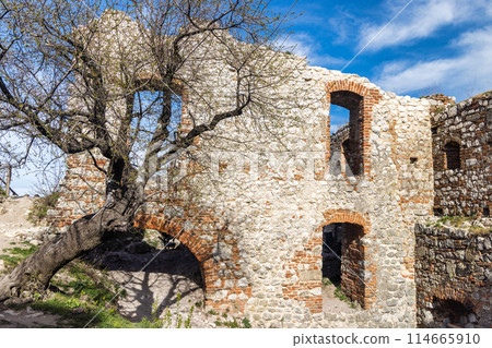 The ruins of Devicky castle on the Pavlov Hills in South Moravia The ruins of Devicky castle on the Pavlov Hills in South Moravia 114665910
