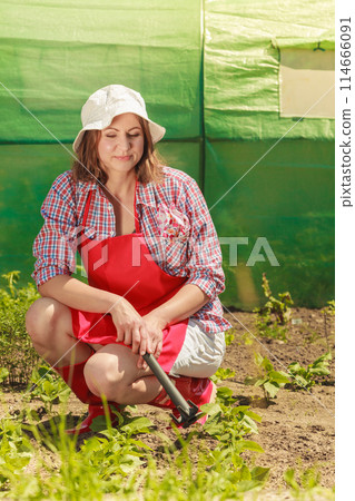 woman with gardening tool working in garden 114666091