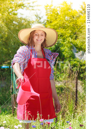 woman watering flowers in garden woman watering flowers in garden 114666110