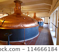 Beer copper fermentation vats in brewery 114666184
