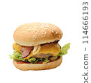 Hamburger isolated on a white background 114666193