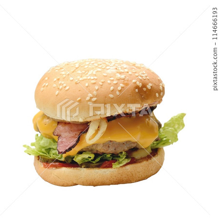 Hamburger isolated on a white background 114666193