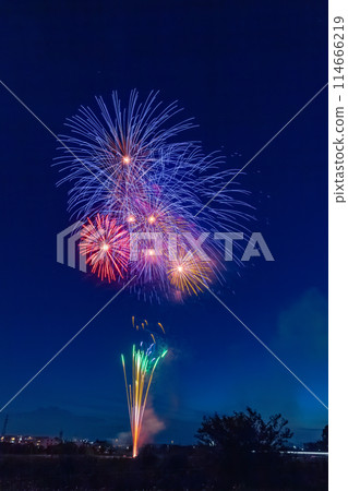 埼玉市煙火大會大和田公園會場 埼玉市煙火大會大和田公園會場 114666219