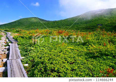 Sugahira Mountain trail leading to Issaikyozan Sugahira Mountain trail leading to Issaikyozan 114666244