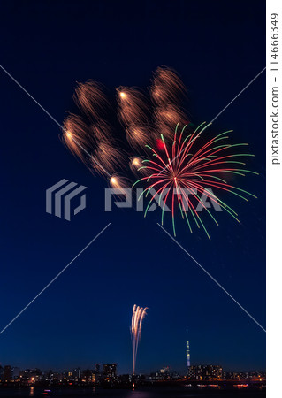 Koto Fireworks Festival, Tokyo 114666349