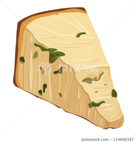 A piece of cheese with mold. Illustration on a white background 114666387