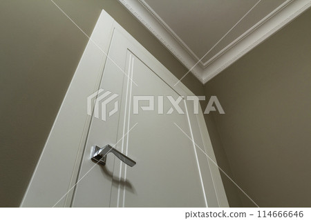 Apartment after renovation interior. White door with metal handle, light walls and ceiling, angle view. Apartment after renovation interior. White door with metal handle, light walls and ceiling, angle view. 114666646