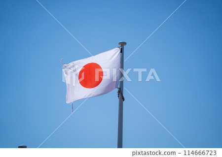 Sunflower flag fluttering in the wind 114666723