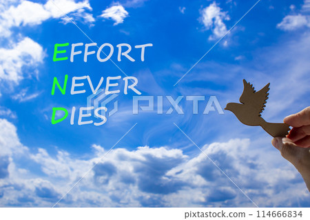 END effort never dies symbol. Concept words END effort never dies on beautiful blue sky clouds background. Wooden bird. Businessman hand. Business END effort never dies concept. Copy space. 114666834