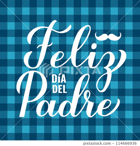 Happy Fathers Day in Spanish. Feliz dia del Padre calligraphy hand lettering on blue buffalo plaid background. Vector template for typography poster, banner, greeting card, flyer, postcard, etc. 114666936