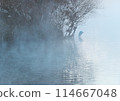 A heron standing in the morning mist 114667048