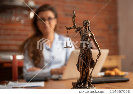 Confident female lawyer in the office 114667098
