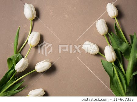 A bouquet of tulips on a beige background A bouquet of tulips on a beige background 114667332