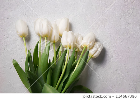 A bouquet of white tulips on a light background 114667386