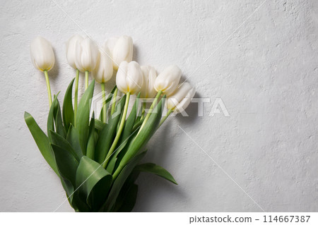 A bouquet of white tulips on a light background 114667387