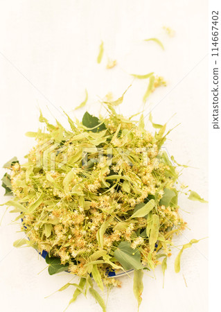 Preparation of linden blossom for medicinal tea 114667402