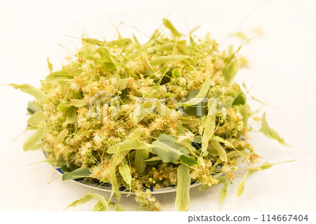 Preparation of linden blossom for medicinal tea Preparation of linden blossom for medicinal tea 114667404