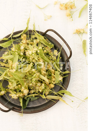 Lime blossom for tea on a vintage metal tray Lime blossom for tea on a vintage metal tray 114667408