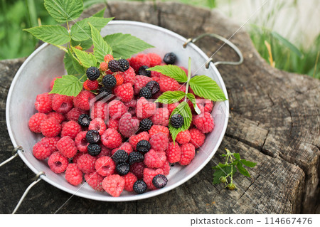 Ripe raspberries and wild blackberries in a vintage sieve Ripe raspberries and wild blackberries in a vintage sieve 114667476