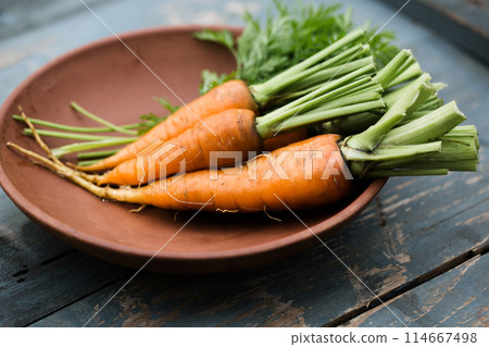 Young juicy carrot with green leaves Young juicy carrot with green leaves 114667498