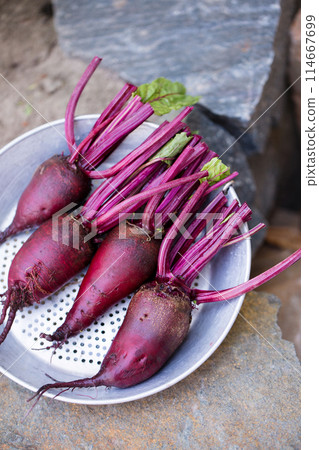 Fresh organic beets, with tops Fresh organic beets, with tops 114667699