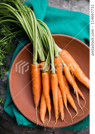 Fresh juicy farm carrot with green top 114667731