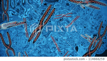 DNA molecule structure. 3D render 114668259