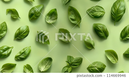 Fresh basil leaves arranged on a green backdrop, capturing their vibrant color and texture. Perfect for food and culinary-related projects. Fresh basil leaves arranged on a green backdrop, capturing their vibrant color and texture. Perfect for food and culinary-related projects. 114669946